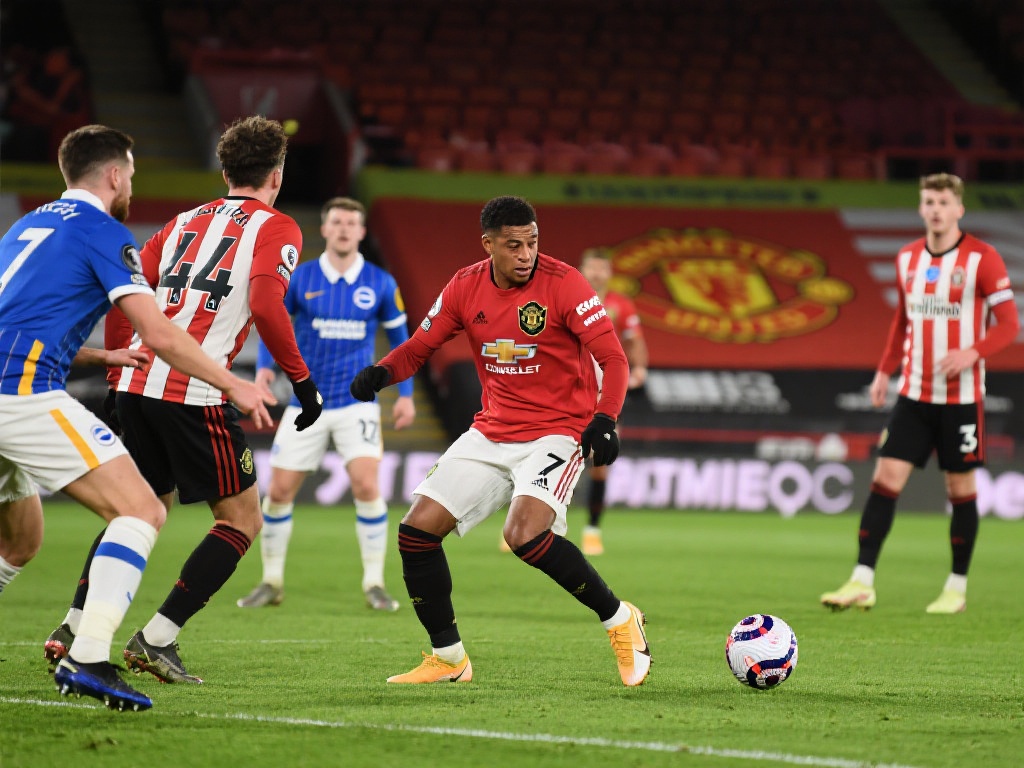 久不衰的热 久不衰的热